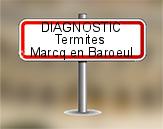 Diagnostic Termite AC Environnement à